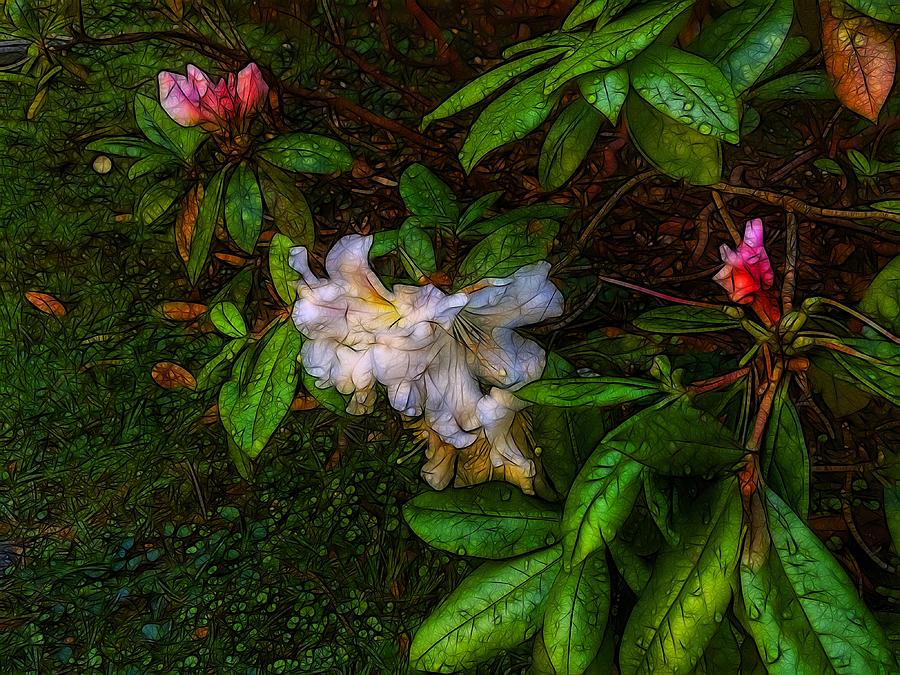 Flower Photograph - Japanese Tea Garden Rose by Nick Heap