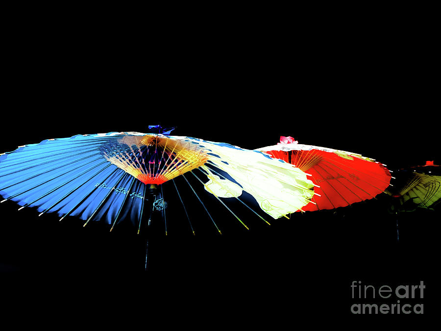 Japanese Umbrellas Assorted Colors by Camille Pascoe Japanese Umbrellas Assorted Colors by Camille Pascoe