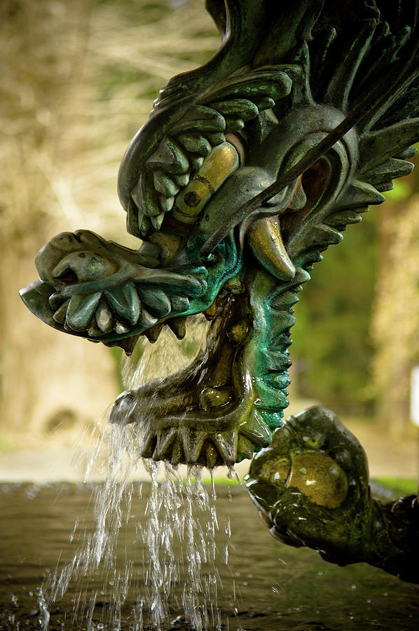 Japanese Water Dragon Photograph by Sebastian Musial