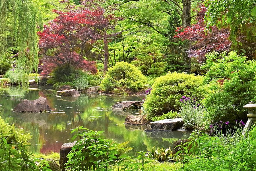 Japanese Gardens Photograph by Mary Ann Artz