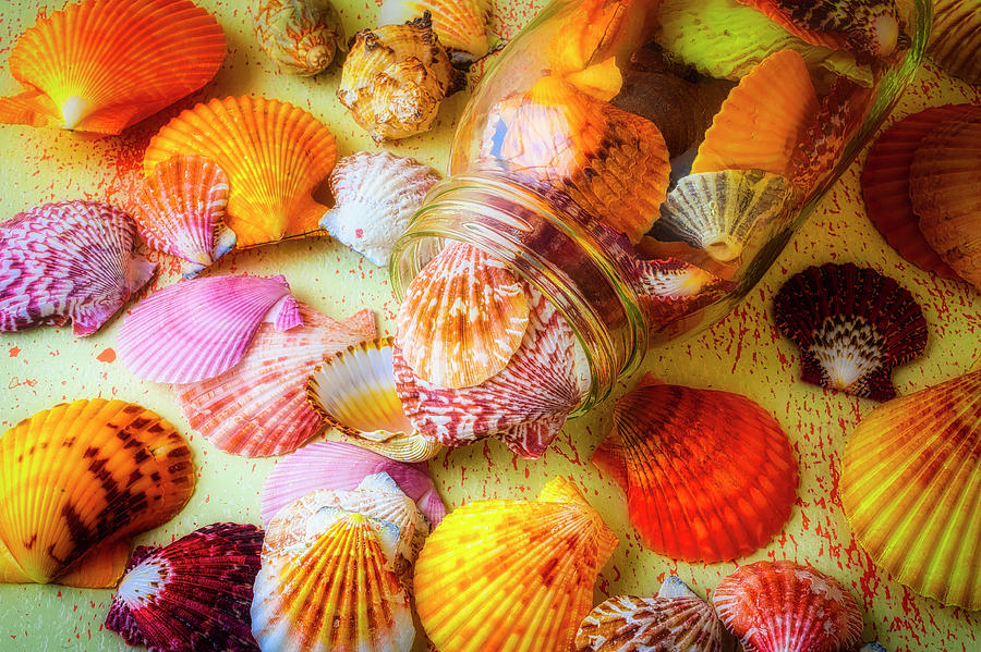 Jar Spilling Seashells Photograph by Garry Gay
