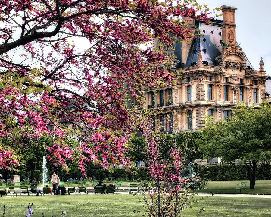 Jardin des Tuileries Photograph by Jim Hill