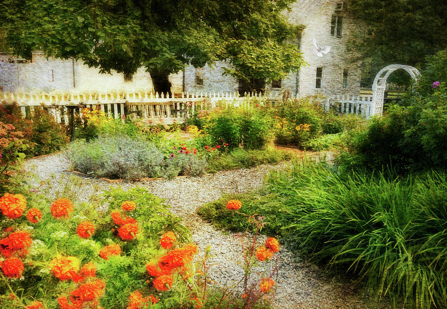 Jardin du Coeur Photograph by Diana Angstadt  Fine Art America