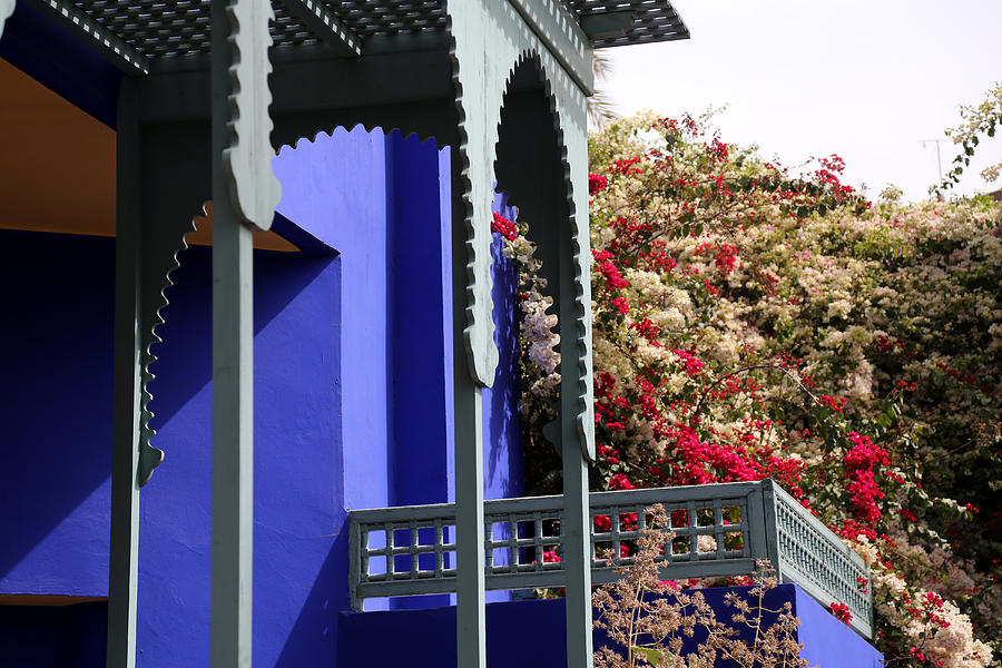 Jardin Majorelle 3 Photograph by Andrew Fare