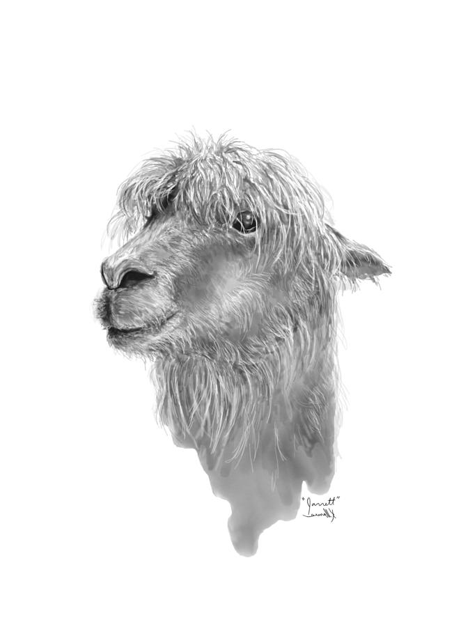 Llama Drawing - Jarrett by Kristin Llamas