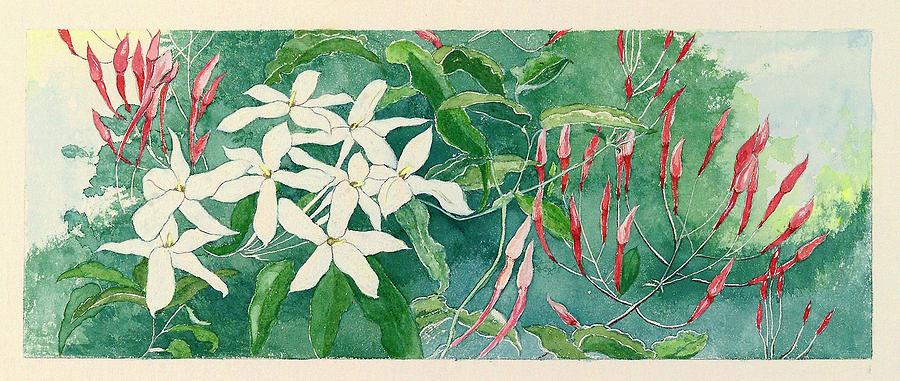 Jasmine Flowers Painting by Sue Podger