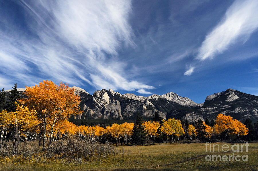 Jasper - Autumn Scenic Photograph by Terry Elniski