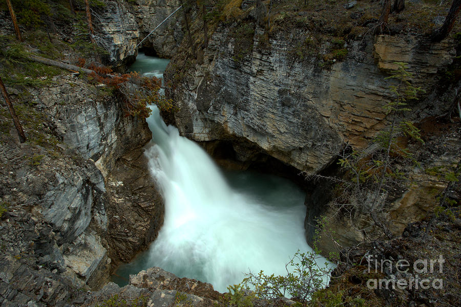 Jasper Beauty Creek Waterfall Canyon Photograph by Adam Jewell