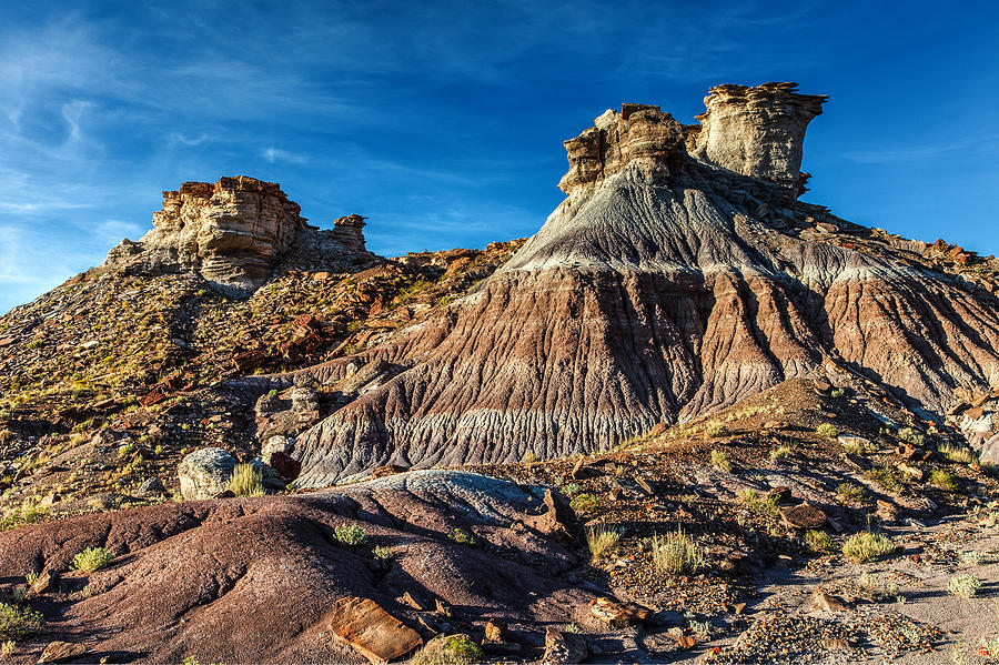 Petrified Forest National Park Photograph - Jasper Forest Badlands by James Marvin Phelps