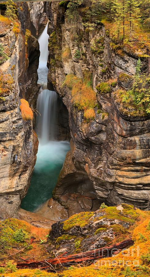 Jasper Maligne Canyon Waterfall Photograph by Adam Jewell