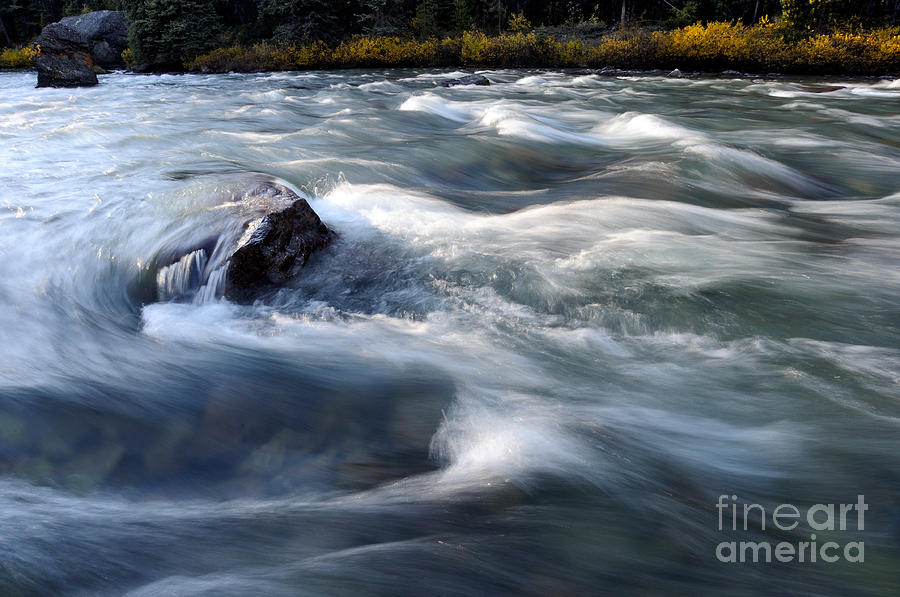 Jasper - Maligne River Photograph by Terry Elniski