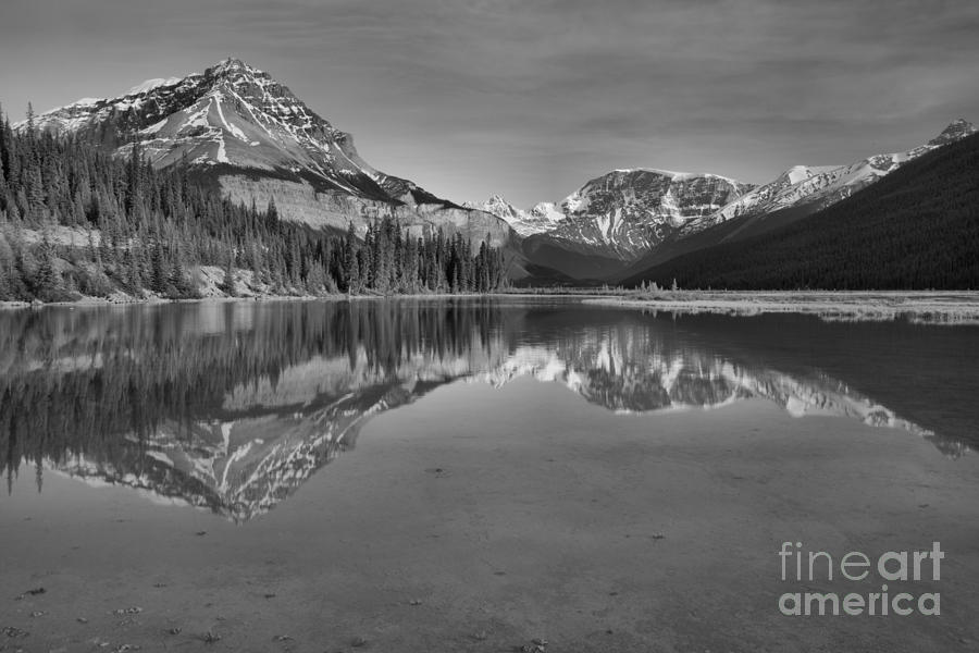 Jasper Mt Chephren Reflections Black And White Photograph by Adam Jewell