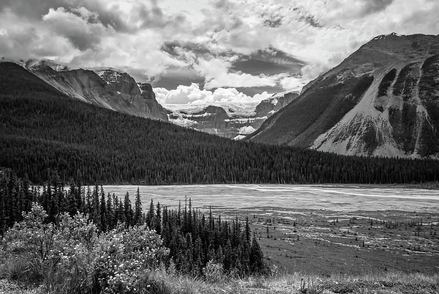 Banff National Park Photograph - Jasper National Park Alberta Canada BW by Joan Carroll