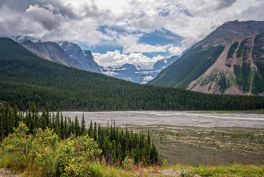 Jasper National Park Alberta Canada Photograph by Joan Carroll