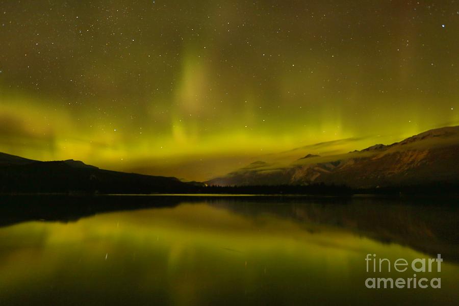 Jasper National Park Dark Sky Show Photograph by Adam Jewell
