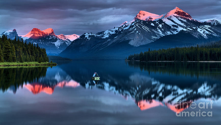 Jasper Pink Peaks Photograph by Adam Jewell