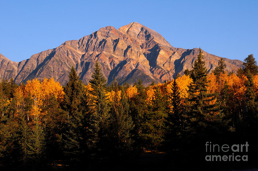 Jasper National Park Photograph - Jasper - Pyramid Mountain Autumn Season by Terry Elniski