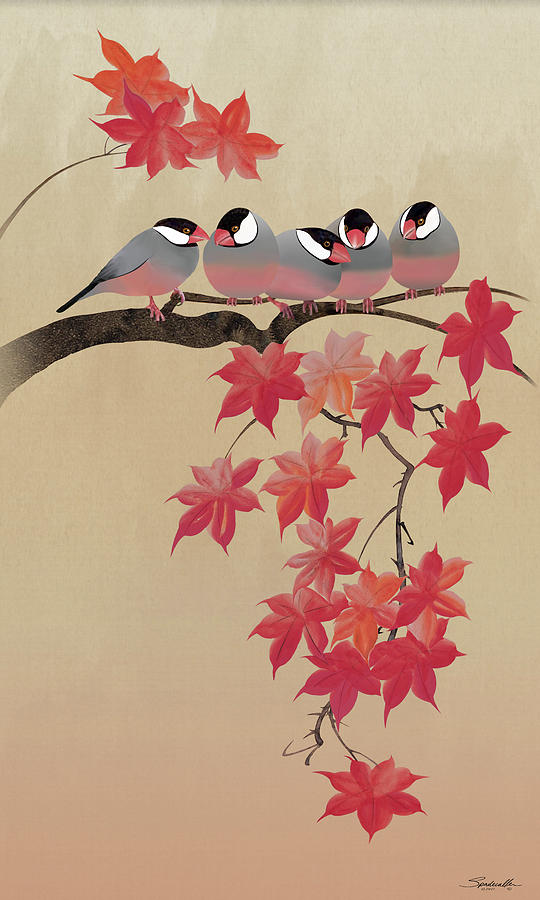 Java Sparrows in Japanese Maple Tree Digital Art by M Spadecaller