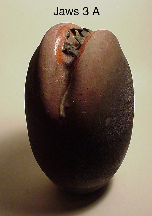 Raku Sculpture - Jaws 3 A by Skip Bleecker Raku Sculpture - Jaws 3 A by Skip Bleecker
