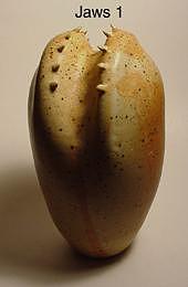 Ceramics Sculpture - Jaws One by Skip Bleecker Ceramics Sculpture - Jaws One by Skip Bleecker