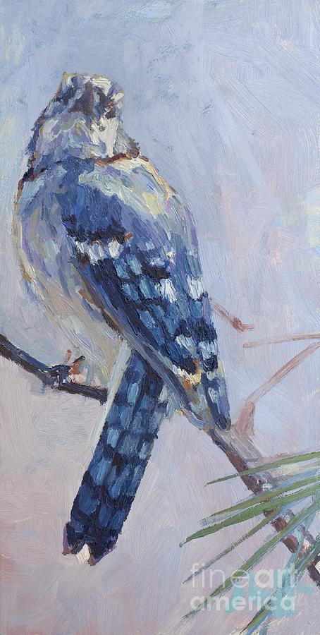 Jay by Patricia A Griffin Jay by Patricia A Griffin