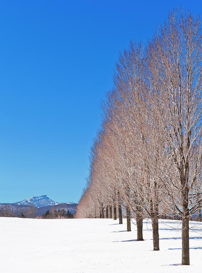 Jay Peak Winter Scenic Photograph by Alan L Graham