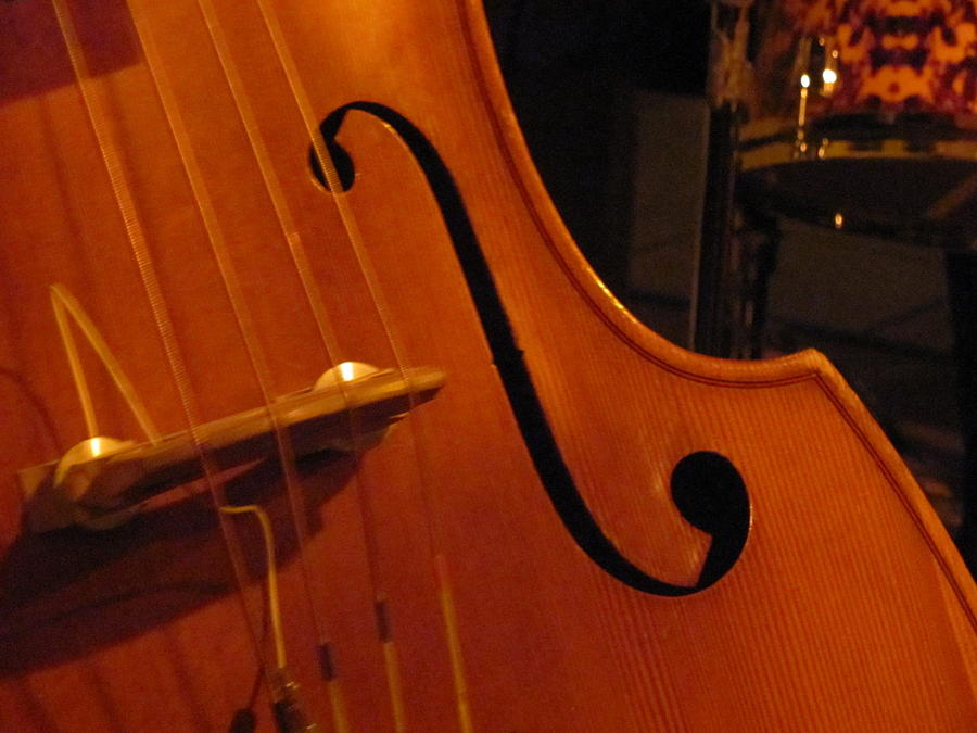 Jazz Bass Close Up Photograph by Anita Burgermeister