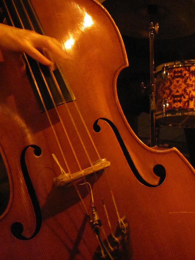 Jazz Upright Bass Photograph by Anita Burgermeister