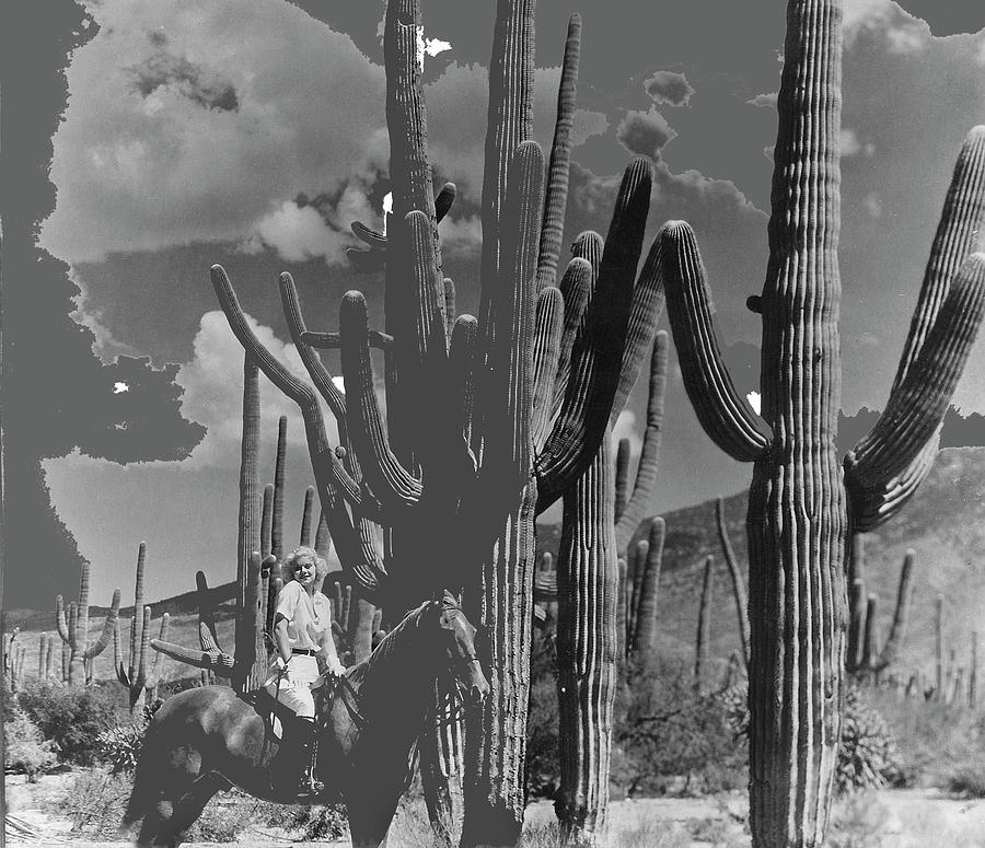 Jean Harlow Bombshell 1933 Saguaro National Monument Tucson Arizona  2016 Photograph