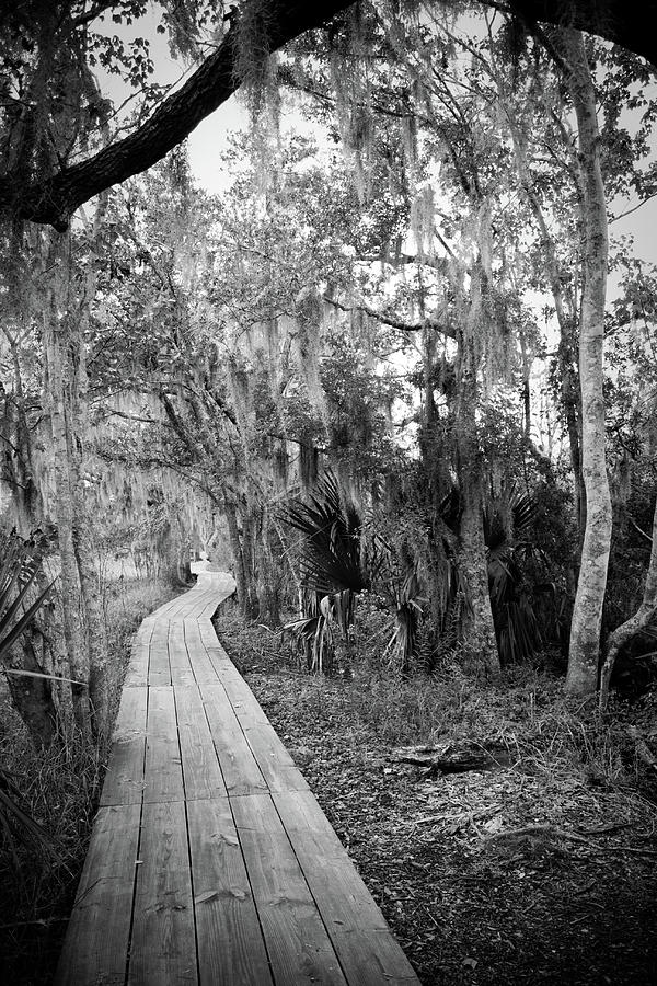 Jean Lafitte National Historical Park and Preserve #3 Photograph by ...