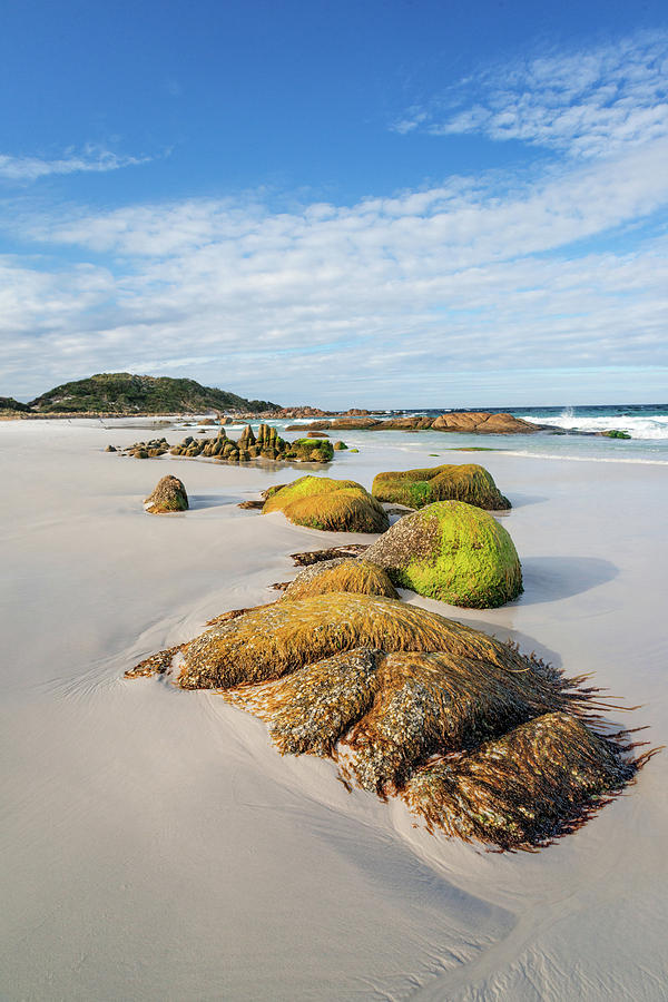 Jeaneret Beach - Bay of Fires Photograph by Anthony Davey