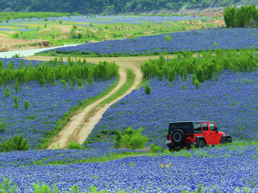 Red Jeep in a Sea of Bluebonnets Photograph by Doris Aguirre