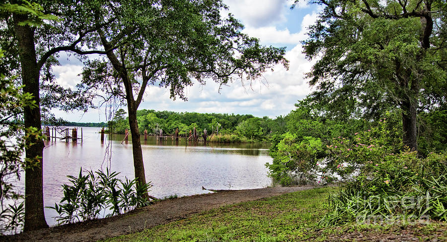 Jefferson Island View Lake  Photograph by Chuck Kuhn