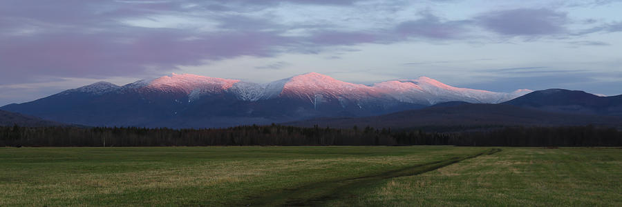 Jefferson Meadows Alpenglow Photograph by White Mountain Images