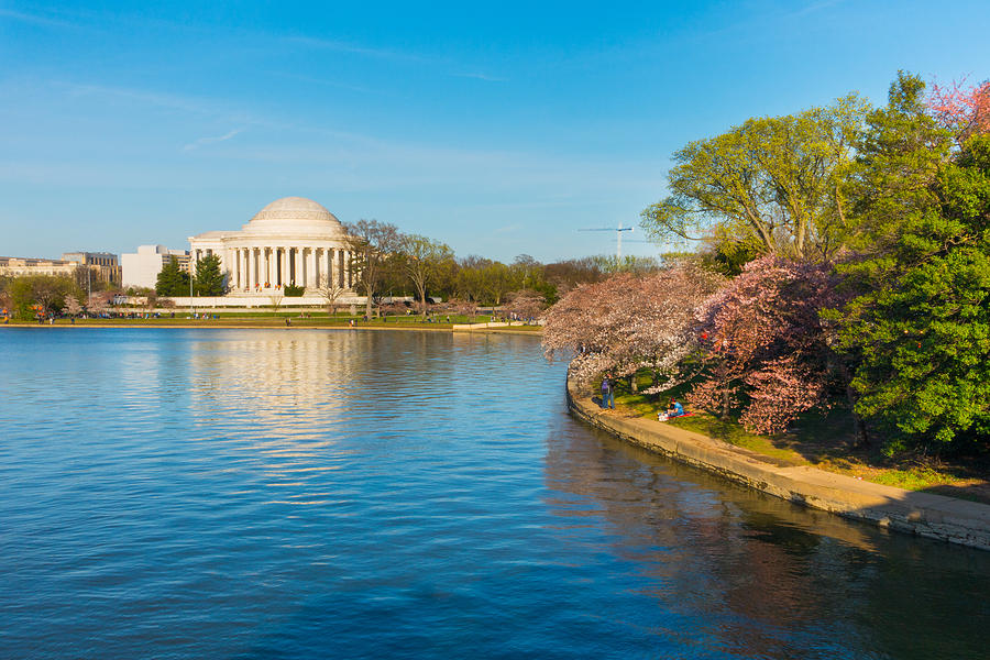 Jefferson Memorial and Cherry Blossoms Photograph by SR Green
