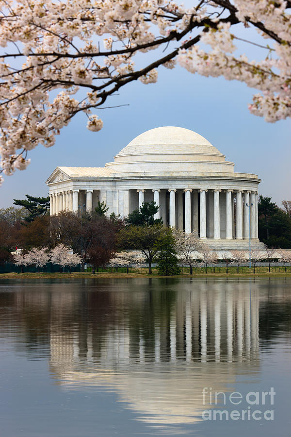 Jefferson Memorial Photograph - Jefferson Memorial and Reflection by Clarence Holmes