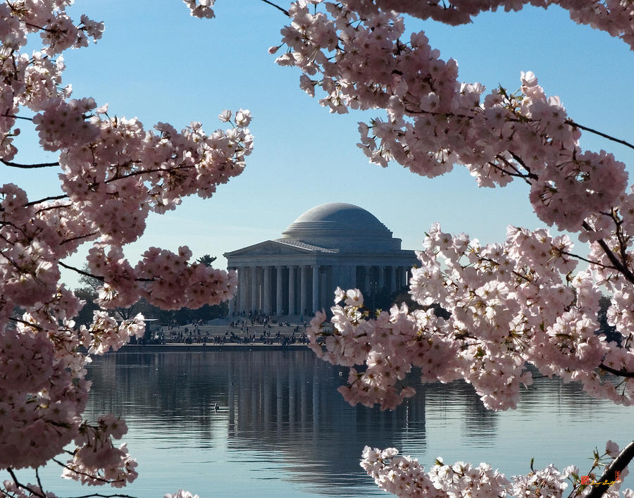 Jefferson Memorial at Cherry Blossom Time on the Tidal Basin DS008 Photograph by Gerry Gantt