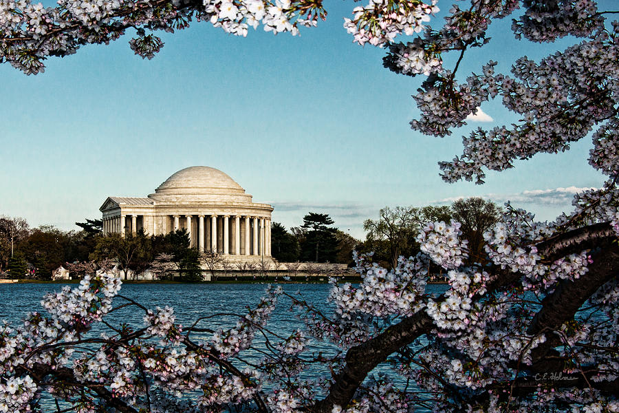 Jefferson Memorial In Spring Photograph by Christopher Holmes