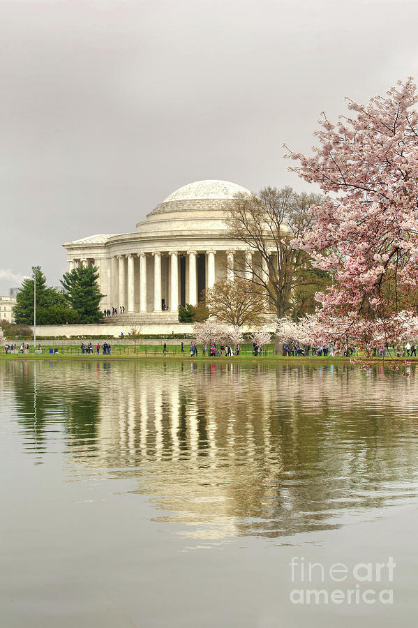 Jefferson Memorial Reflection I Photograph by Karen Jorstad