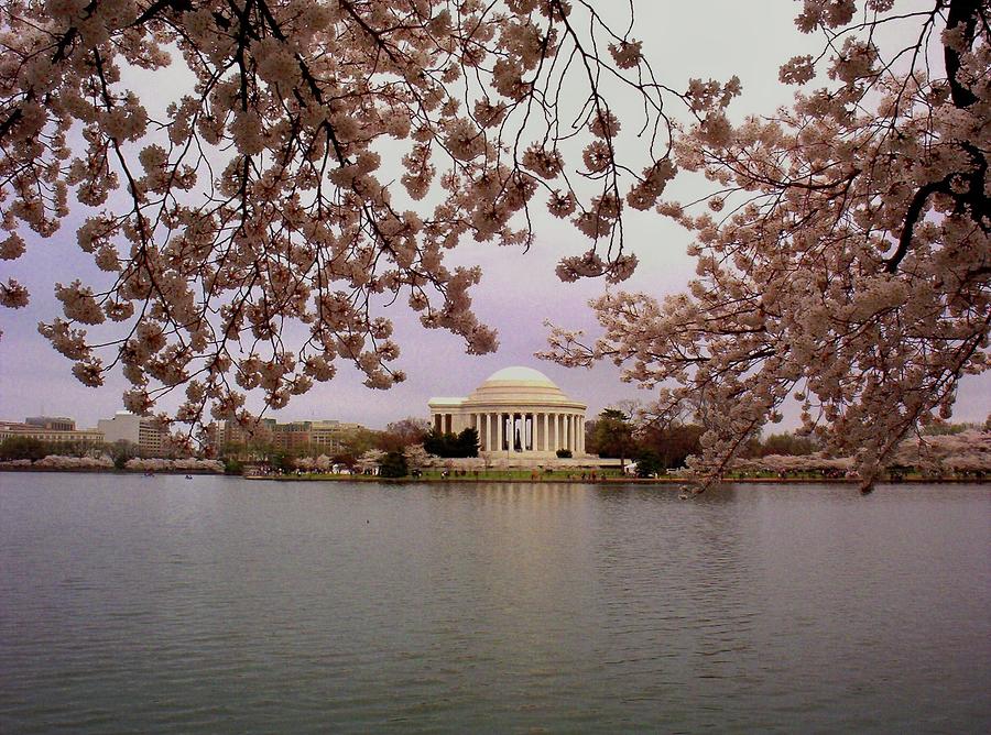 Jefferson Memorial Photograph by Joyce Kimble Smith