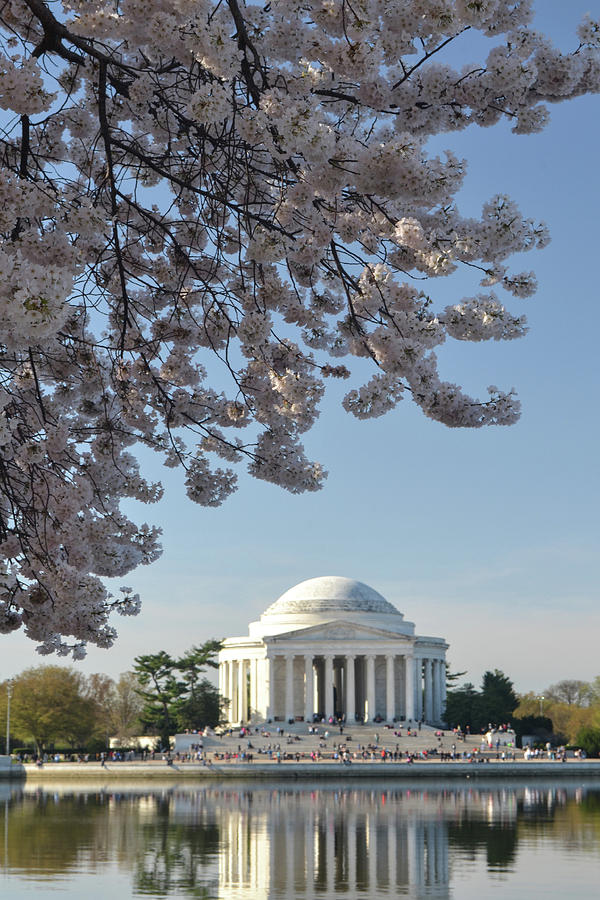 Jefferson Memorial Photograph by Philip LeVee