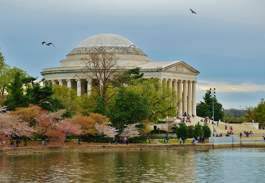 Jefferson Memorial, Springtime in DC is when things bloom, like the Japanese Cherry Trees Photograph by Billy Beck