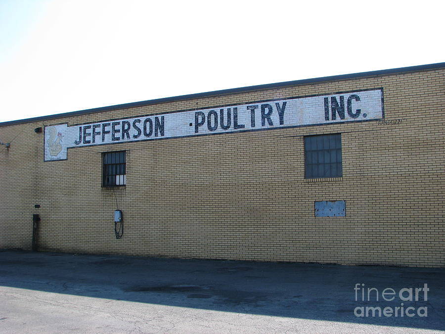 Jefferson Poultry Inc Photograph by Michael Krek