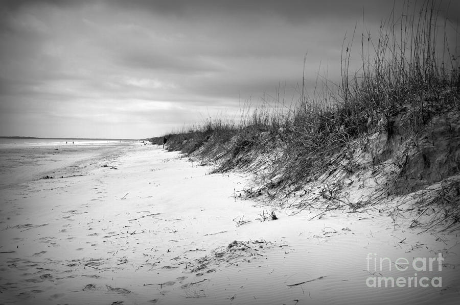 Jekyll coastline in black and white Photograph by Linda Covino - Fine ...