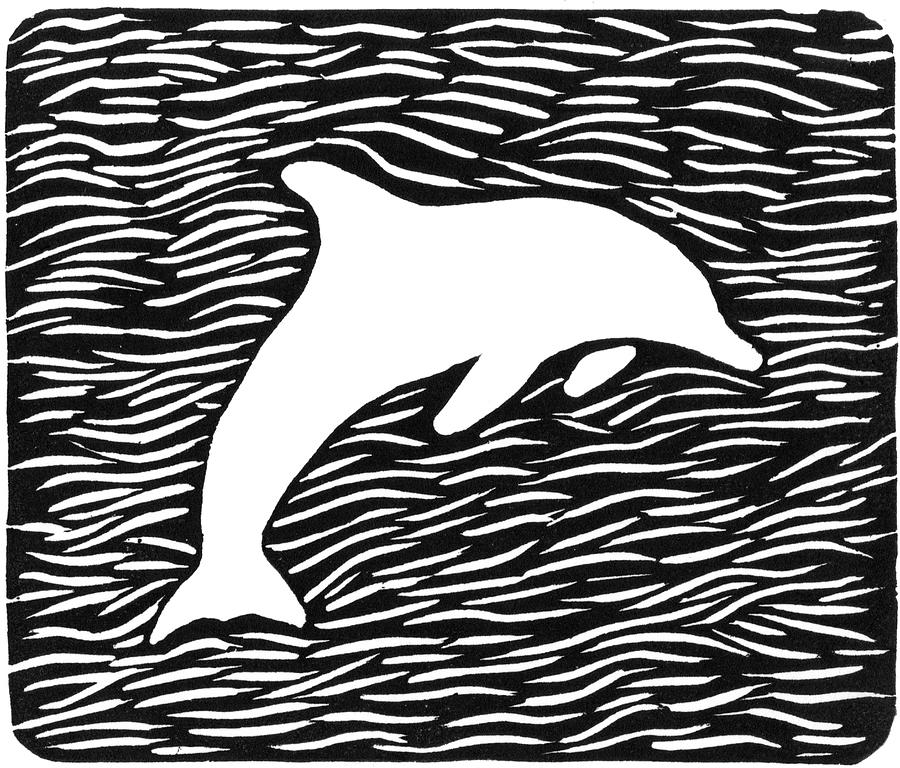 Black And White Drawing - Jekyll dolphin by Ed Einboden