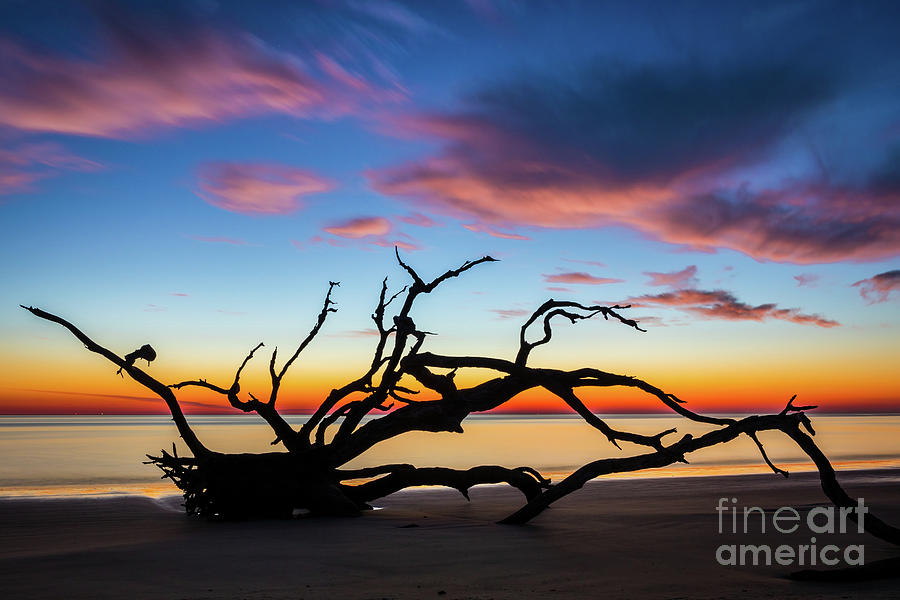 Jekyll Island Sunrise on Driftwood Beach Photograph by Sanjeev Singhal