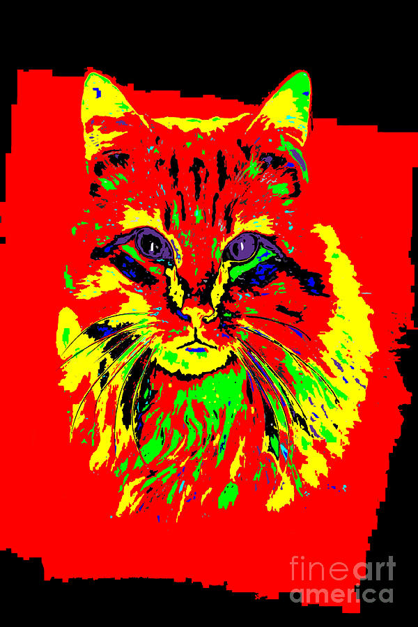 Jekyll the Cat Digital Art by Tim Hightower