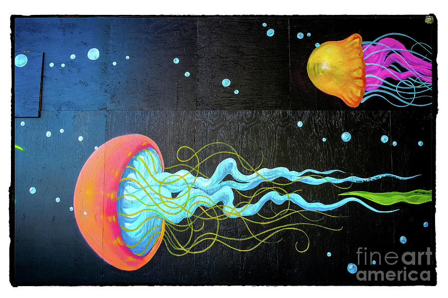 Jellies - Graffiti Photograph by Colleen Kammerer