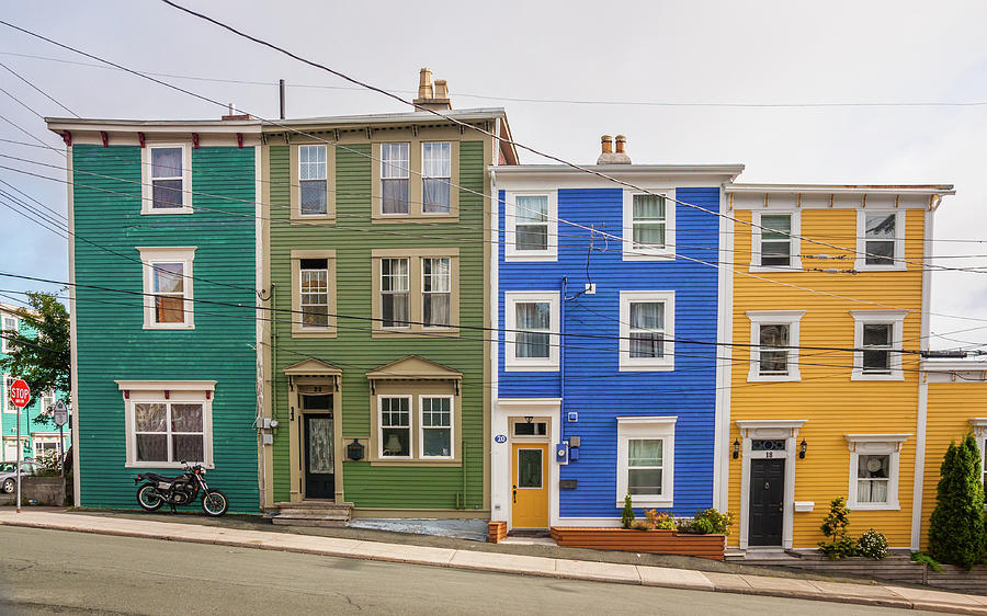 Jelly Bean Row Photograph by Andrew Wilson - Fine Art America