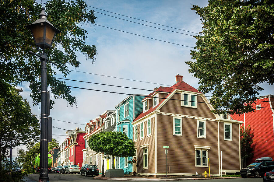 Jelly Bean Row St John's Photograph by Andrew Wilson Fine Art America